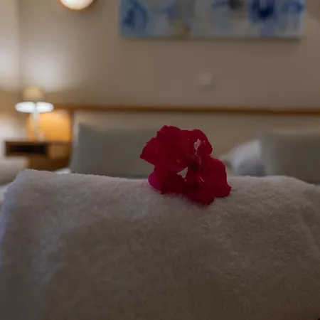 Hotel Logis Des Cretes De Pignols