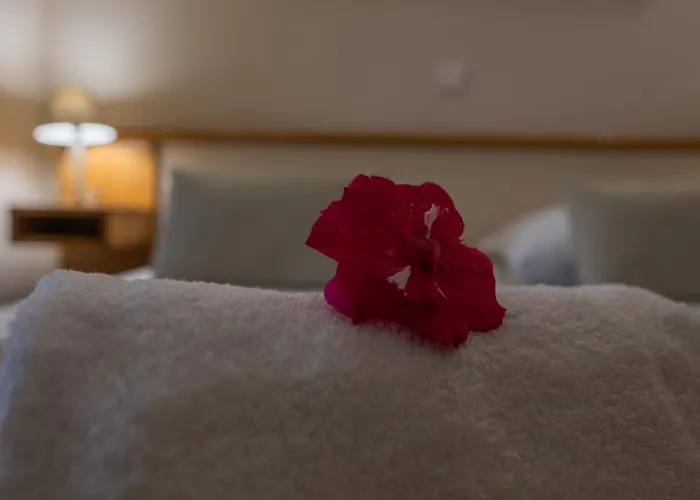 Hotel Logis Des Cretes De Pignols